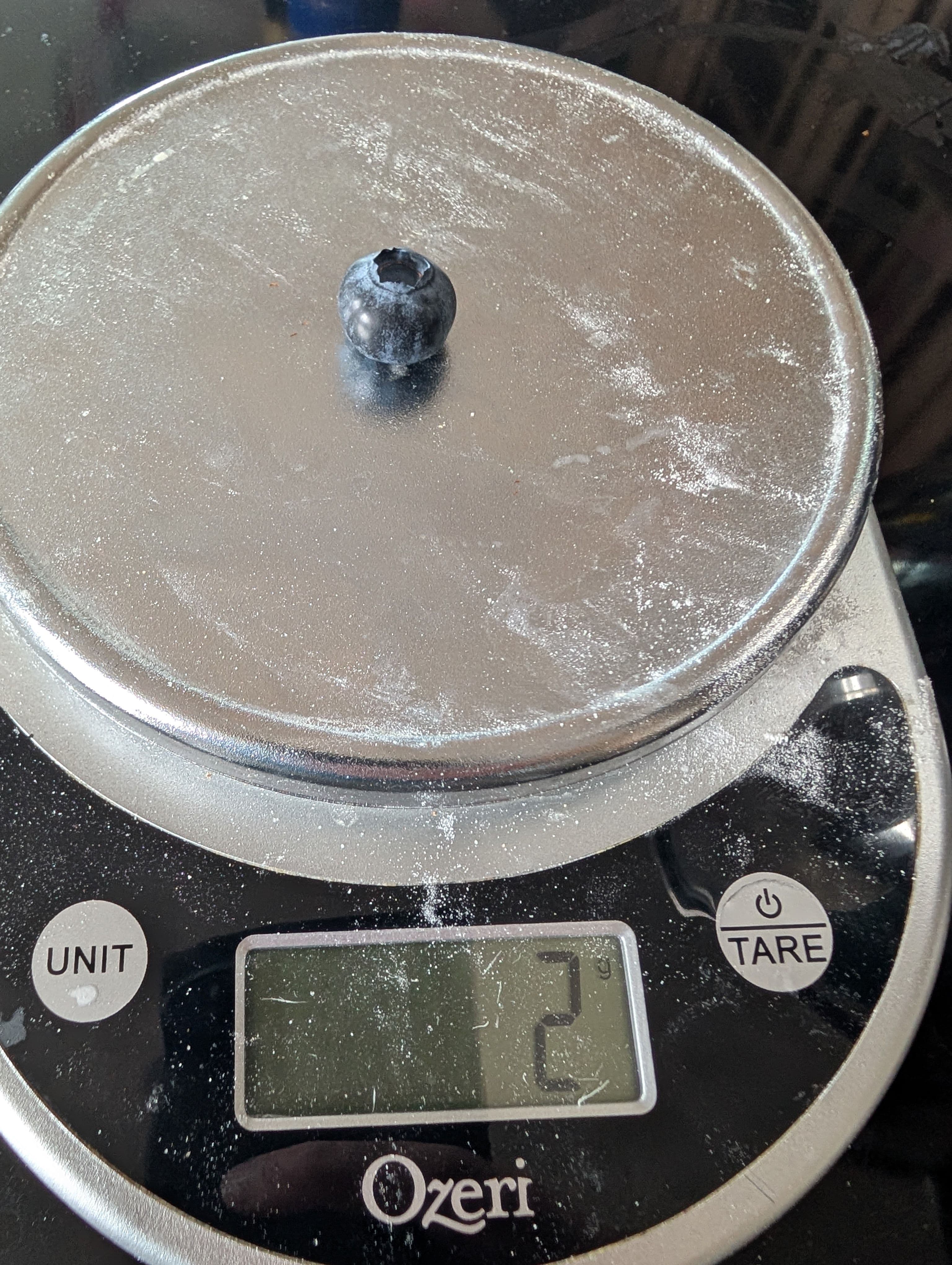 I need a finer scale to measure blueberry weight