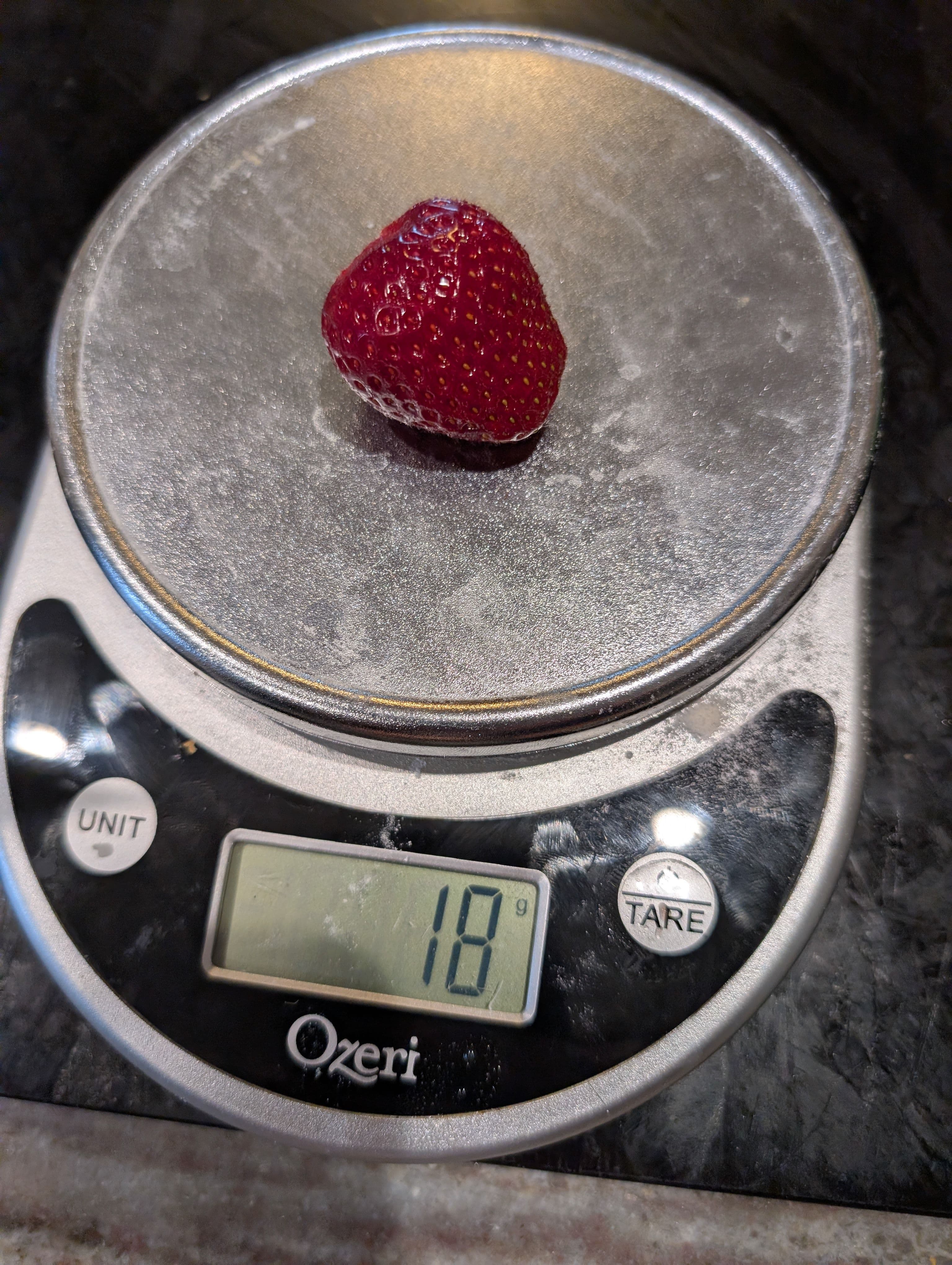 Harvest on Strawberry patch